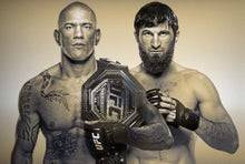 UFC 313 streaming information