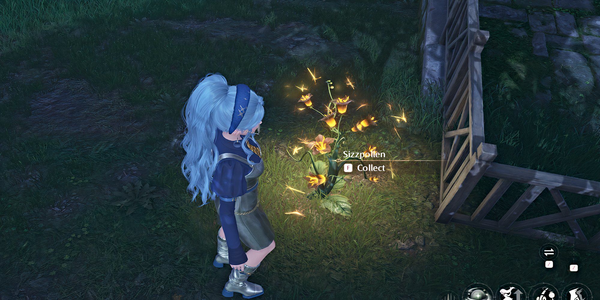 Sizzpollen at Night