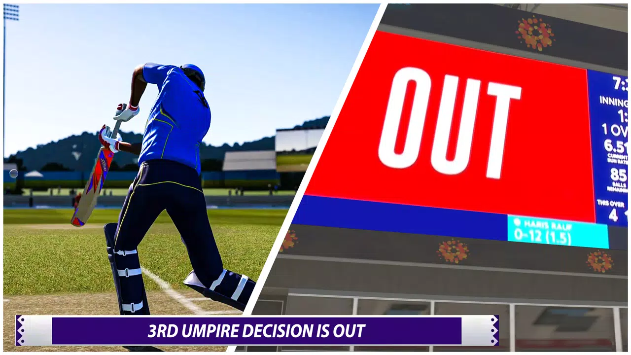 Cricket Games Real World Match Capture d'écran 3