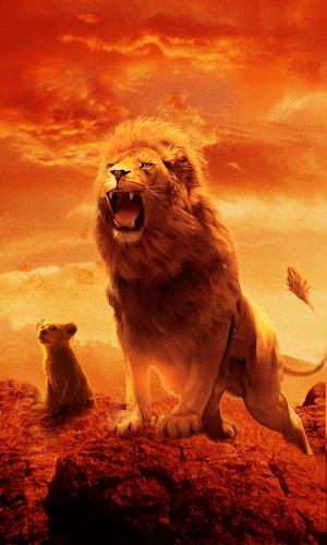 Talking Lion 螢幕截圖 0