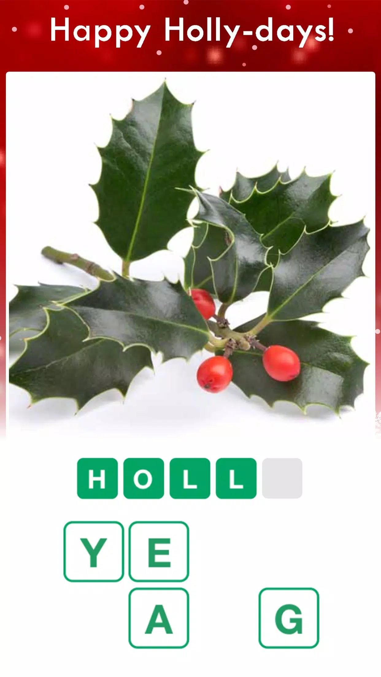 Christmas Pics Quiz Game应用截图第2张