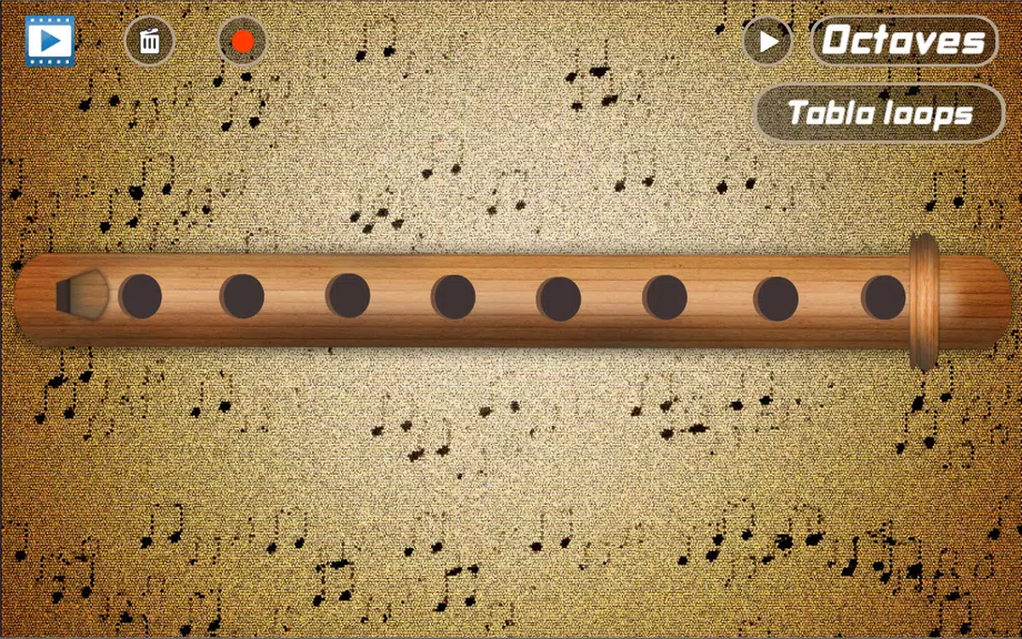 Flute Pro 스크린샷 1