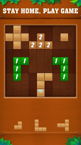 Tetrudoku: Block Puzzle 螢幕截圖 0